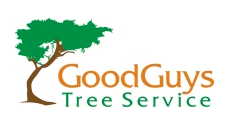 Tree Service Good Guys Tree Service in Austin TX