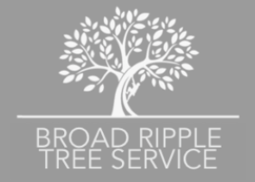Broad Ripple Tree Service