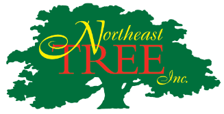 Northeast Tree, Inc.