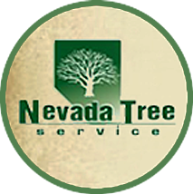 Tree Service Nevada Tree Service in Las Vegas NV