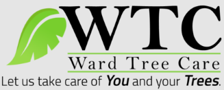 Tree Service Ward Tree Care in Kansas City MO