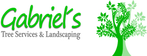 Tree Service Gabriel Tree Service and Landscaping in Los Angeles CA