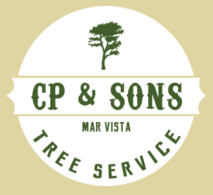 Tree Service CP and Sons Tree Service, INC in Los Angeles CA
