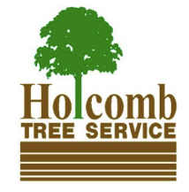 Tree Service Holcomb Tree Service in Dallas TX