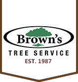 Tree Service Brown’s Tree Service in Raleigh NC
