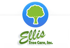 Tree Service Ellis Tree Care Inc. in Nashville TN