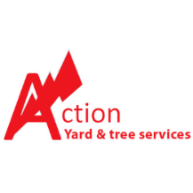 Tree Service Action Yard and Tree Service Tucson AZ | Landscaping Company in Tucson 