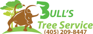 Tree Service Bulls Tree Service in Oklahoma City OK