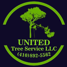 Tree Service United Tree Service LLC in Baltimore MD