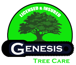 Tree Service Genesis Tree Care, LLC in Jacksonville FL