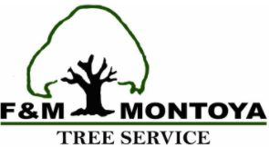 Tree Service F & M Montoya Tree Service in Chicago IL