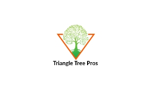 Tree Service Triangle Tree Pros in Raleigh NC