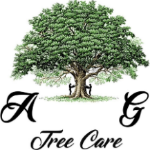 Tree Service AG Tree Care  in Nashville TN
